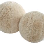 Luxurious Long-Haired Abide Caramel Faux Sheepskin Ball Pillows Set of 2